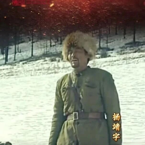 清明祭英烈”系列短视频——杨靖宇