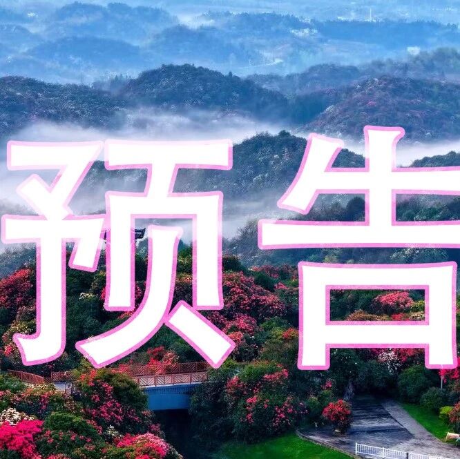 玩在百里 | 百里杜鹃4月7日活动速览!