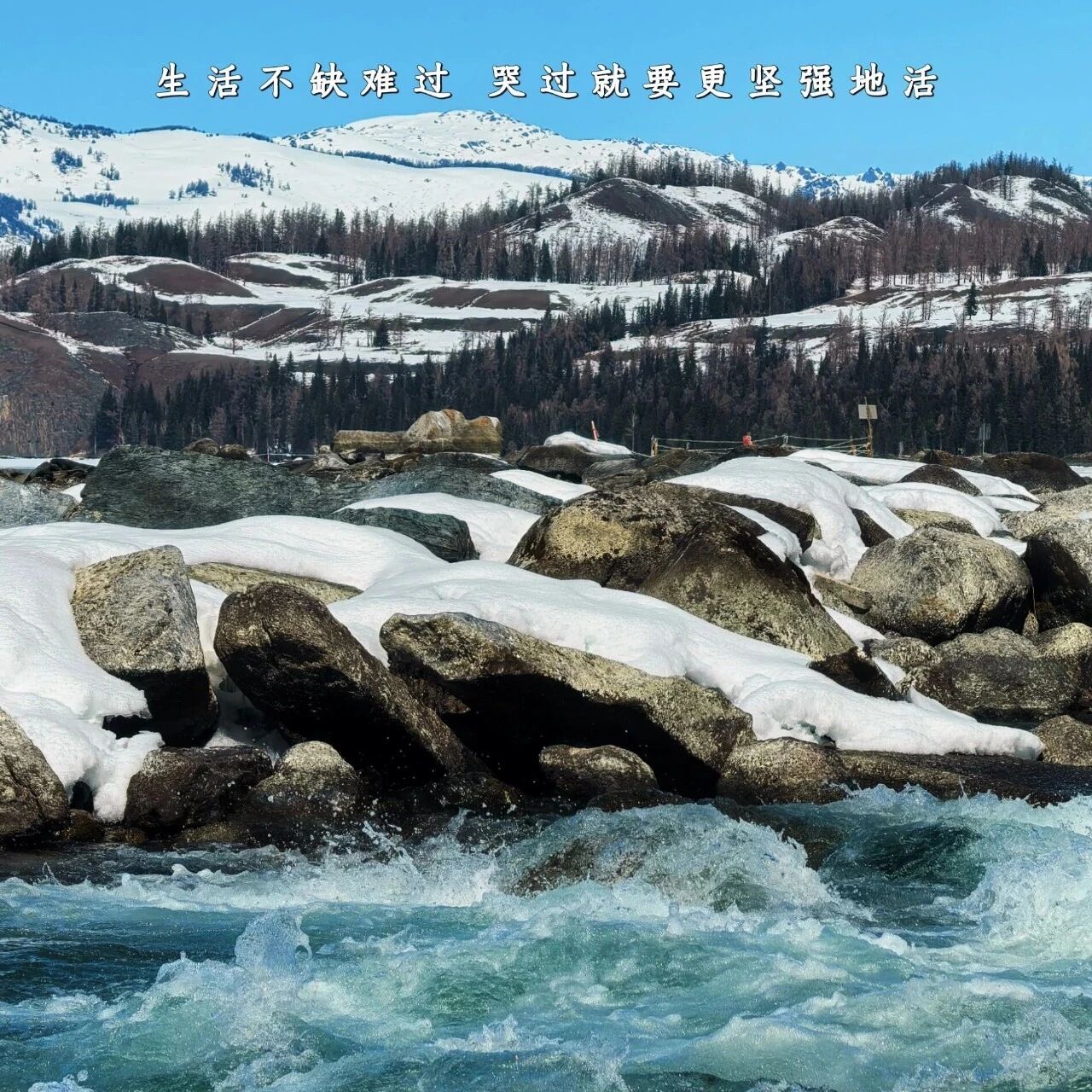 早安 ·我的阿勒泰 | 生活不缺难过,哭过就要更坚强地活。