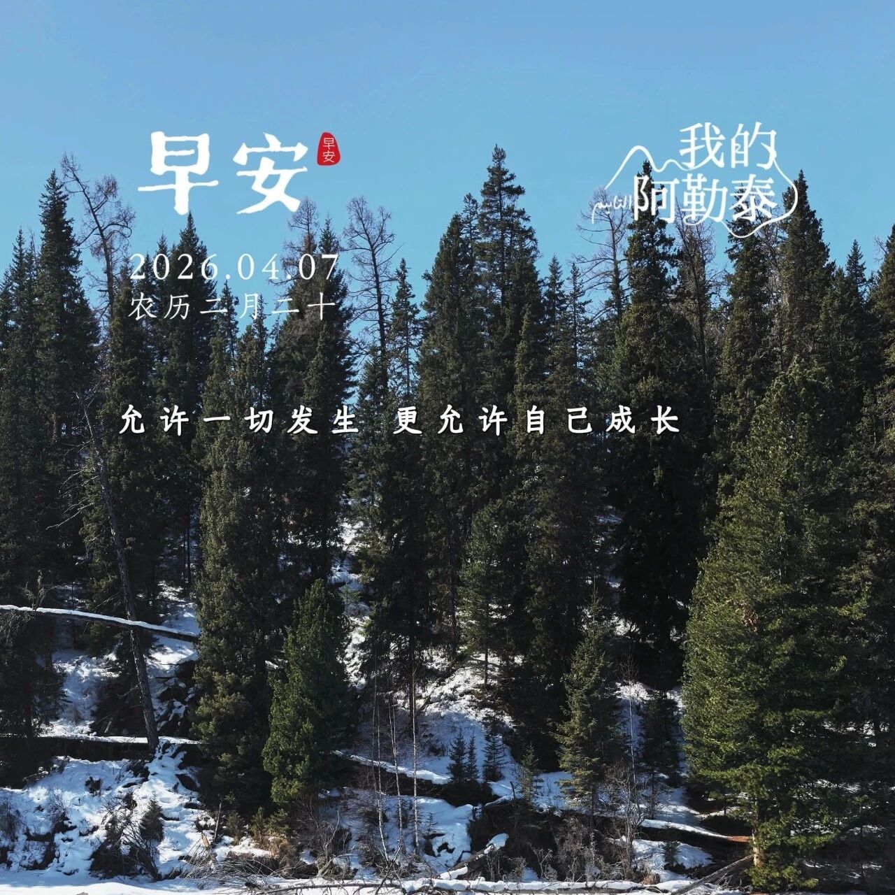 早安 · 我的阿勒泰 | 允许一切发生,更允许自己成长。