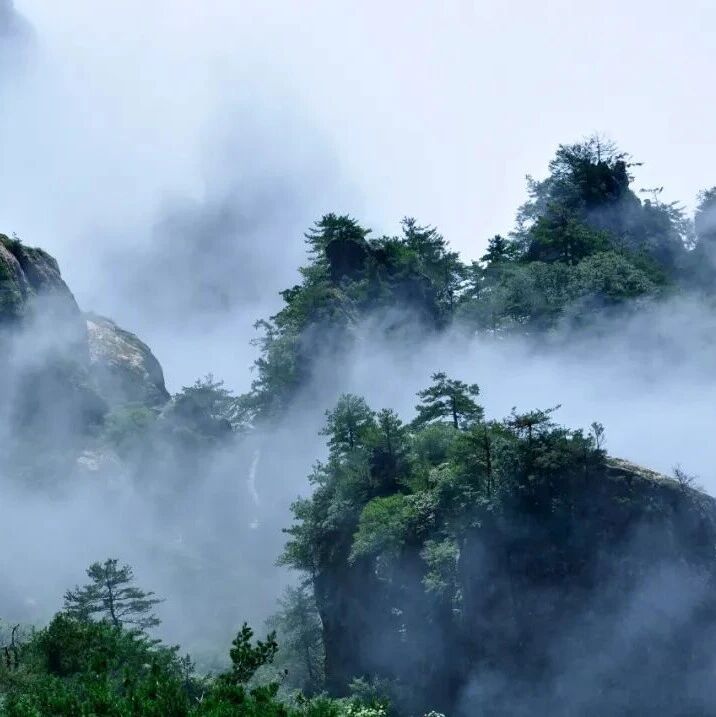 老子的智慧|被情绪裹挟时,就读读《道德经》里的这几句话