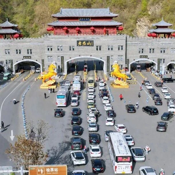 清明假期第二天丨老君山人气高涨,多措并举守护春日游园