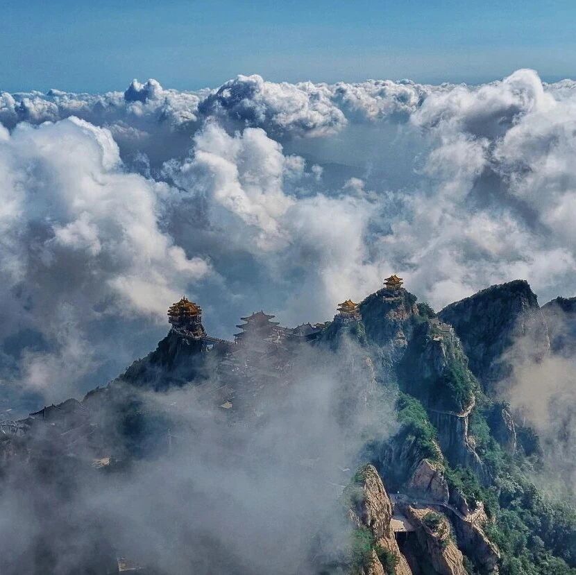 清明踏春丨老君山的云海里,藏着整个春天的诗意