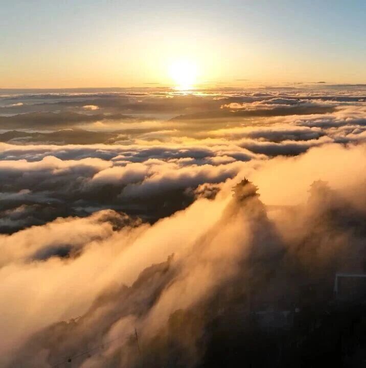 洛阳牡丹盛放,老君山春景正浓,赴一场仙花同赏的春日之约!