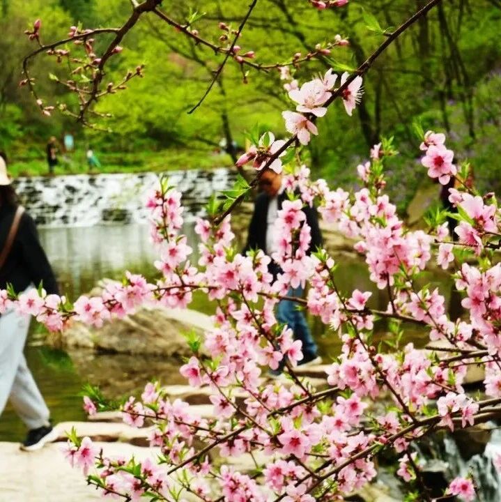 又到了听风、赏花、戏水季! 搭子们 ,GO!