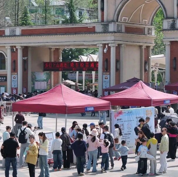 清明踏青正当时!晴日好风光,人气持续爆棚