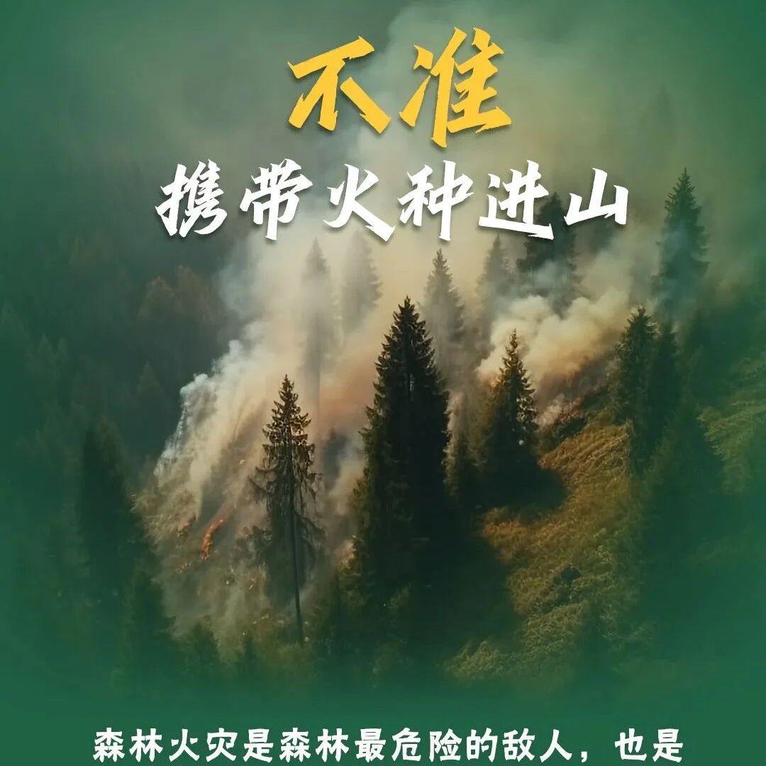 红旗渠旅游 | 春季森林防火温馨提示