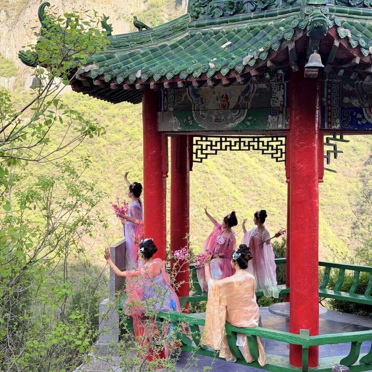 清明假期第二天 | 神农山人气拉满!有图有真相!