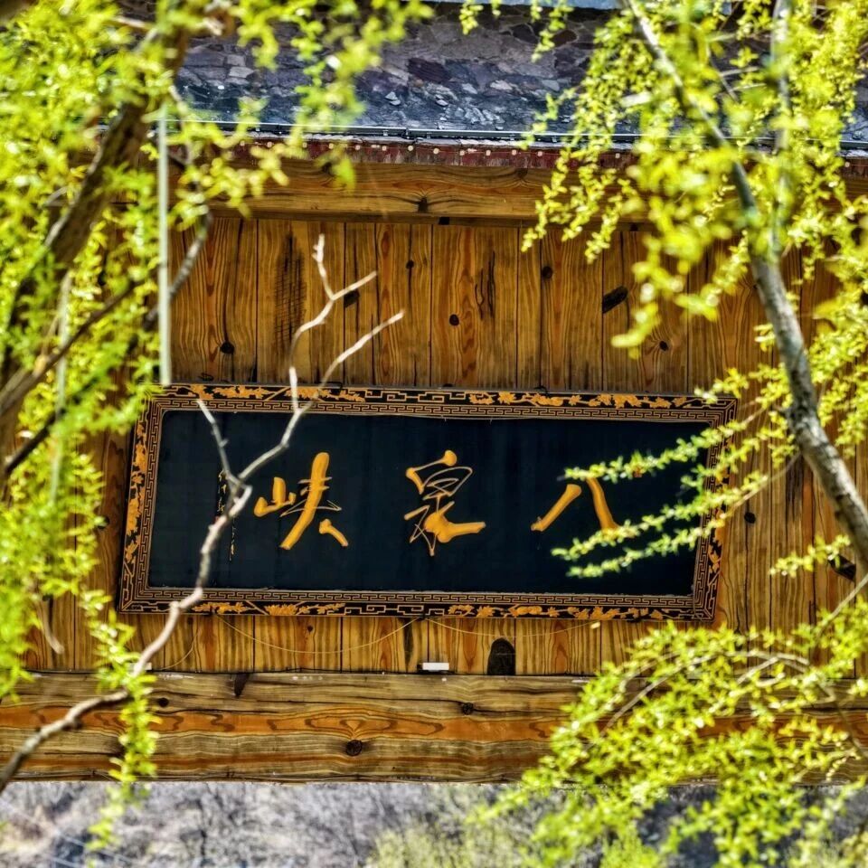 清明首日|八泉峡的春天,被花海人潮和稳稳的守护承包了
