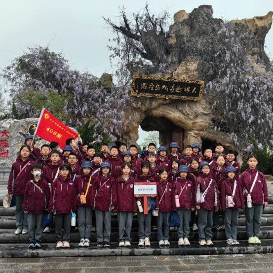 热闹!380 多名学生来洪洞大槐树景区研学游