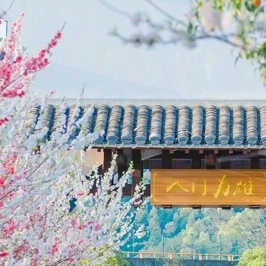 入戏徽州:当旅行成为一场文化的“共生”