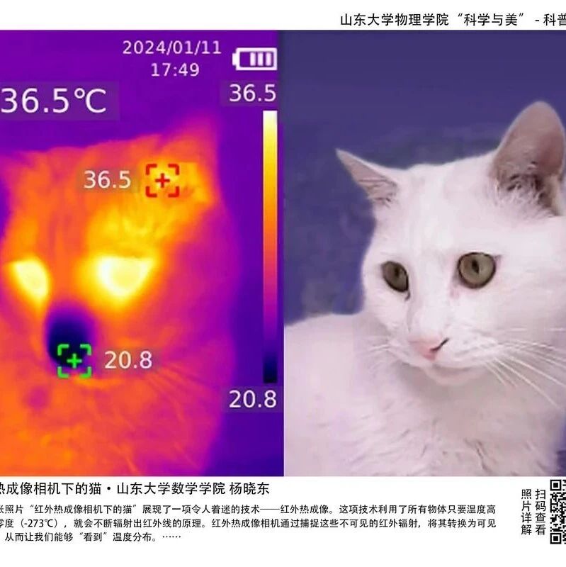 科学与美 镜观物理|山东大学 “科学与美” 科普摄影展邀您观展