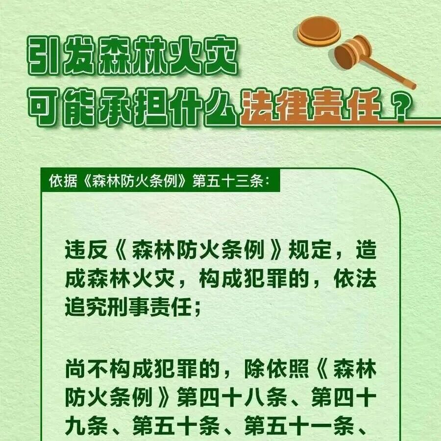 森林防火丨春风十里,不如防火先行