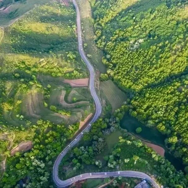 春日进山遇险记 | 山野有风险 出行需谨慎🧡