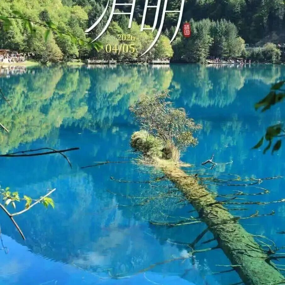 草木生春意,清明寄思情
