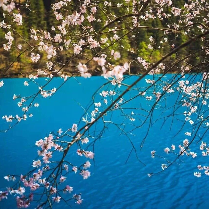 【阿坝旅游网】4月1日起,有这些变化~