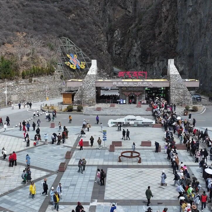 四姑娘山清明假期人气拉满 | 入境游强势增长,服务保障暖心护航