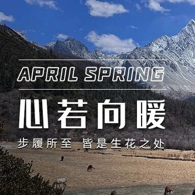 亚丁春深时,心向暖处与山川同息