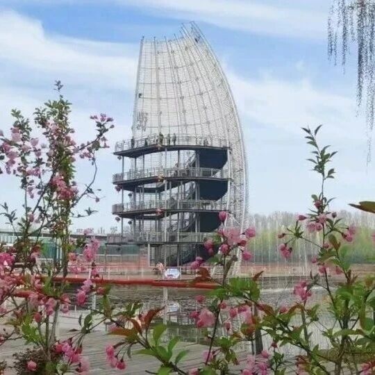 【滕州微山湖红荷湿地旅游度假区】海棠映湖春正好,满园缤纷入画来