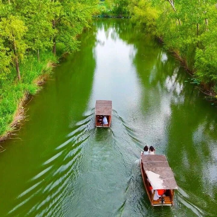 清明踏青“荷”处去,红荷湿地春意浓~~~