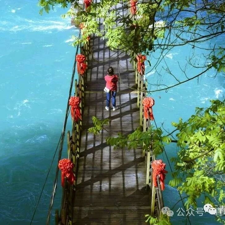 8登央视!央视镜头追逐的限定春景就在都江堰!