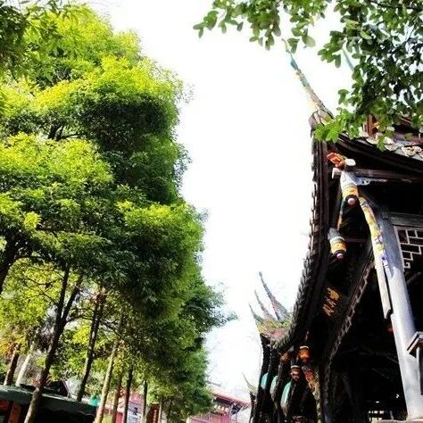 道教知识|揭秘!道教清明祭仪的过程!