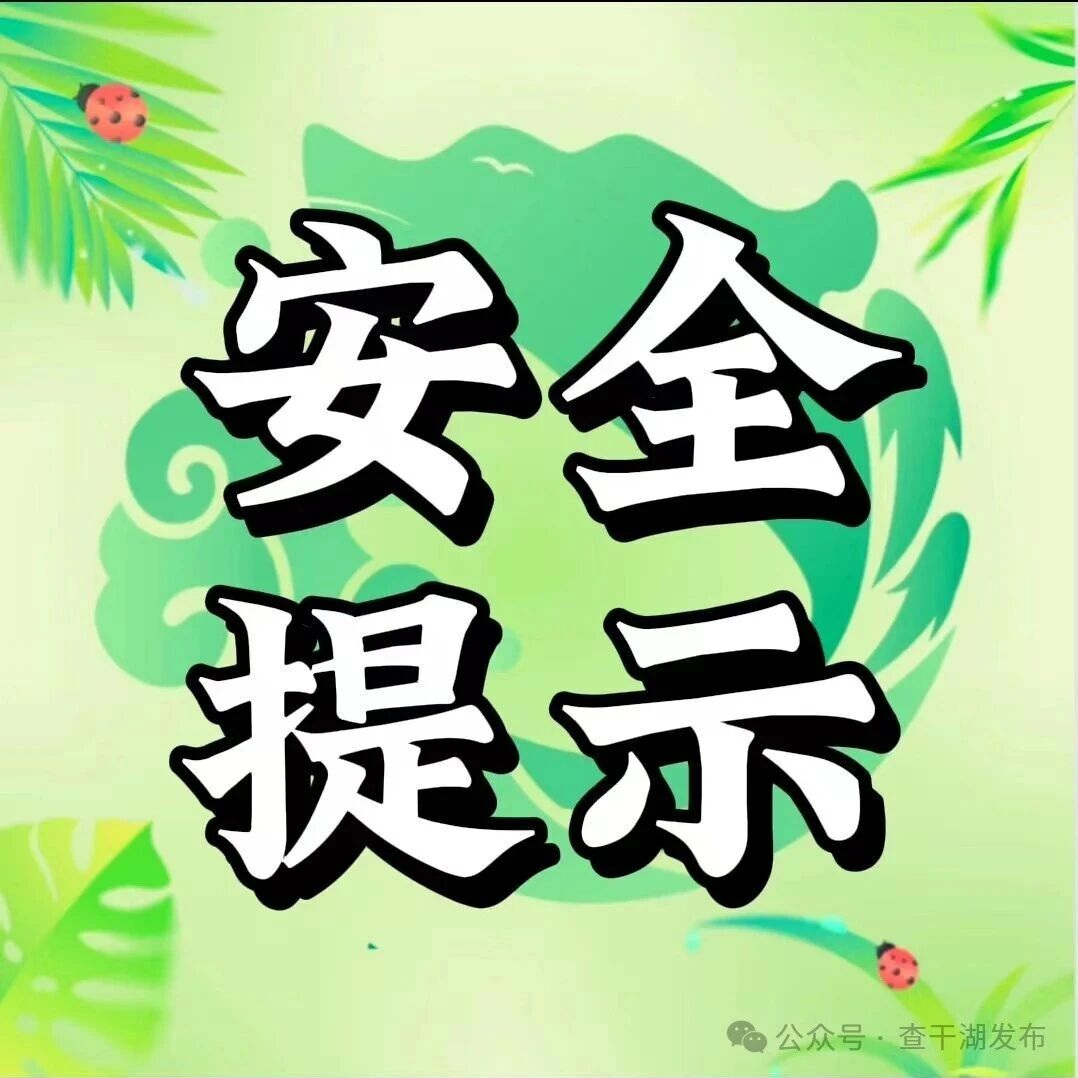 春季森林防火别大意,这份安全指南请查收!