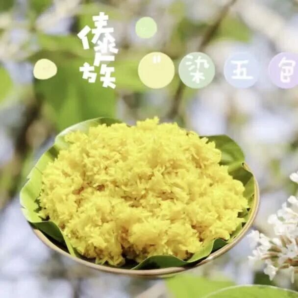药食同源的“染饭花”|傣族植物故事89