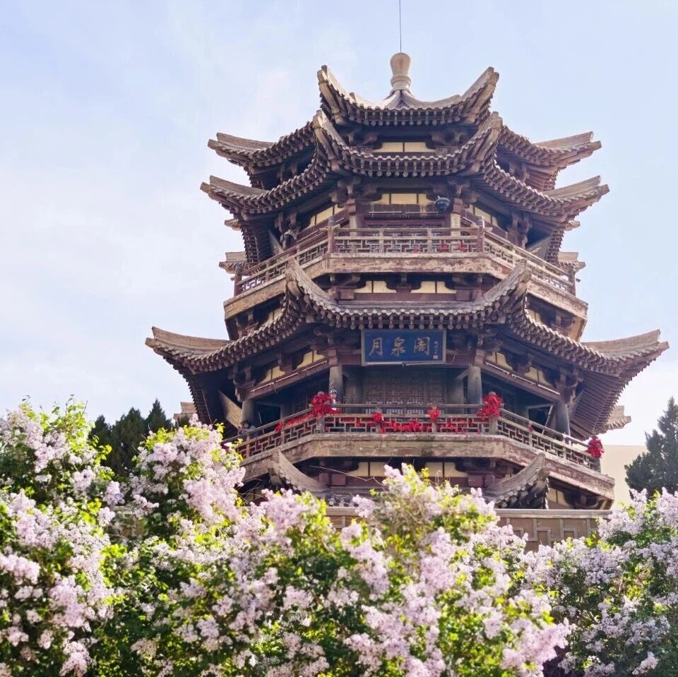 美到封神!鸣沙山月牙泉的绝色春天