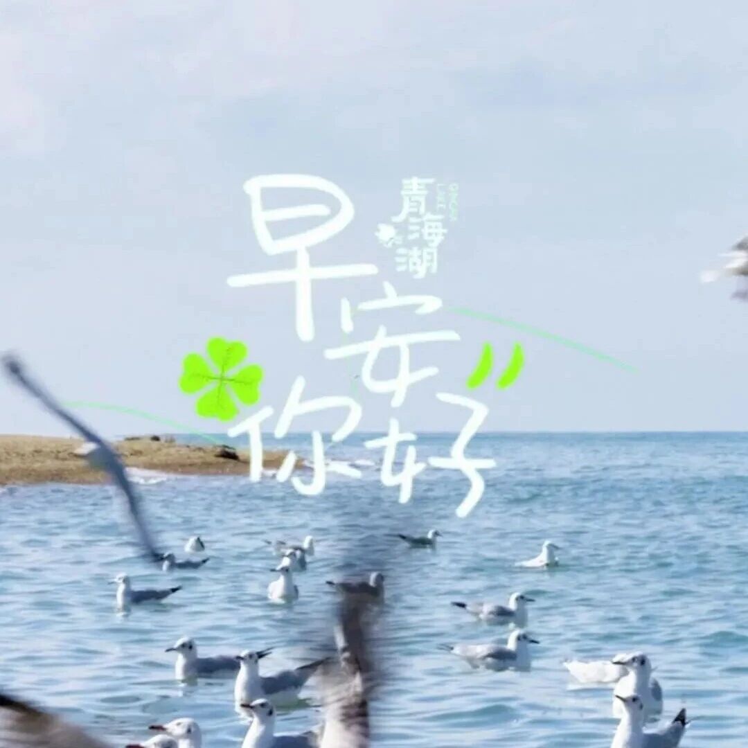 你好·青海湖 每日湖小札