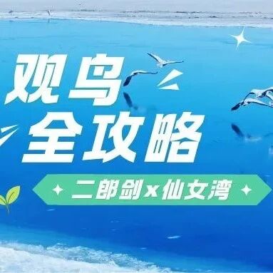 跟着《生命树》解锁青海湖|二郎剑×仙女湾观鸟全攻略,赴一场高原飞羽之约