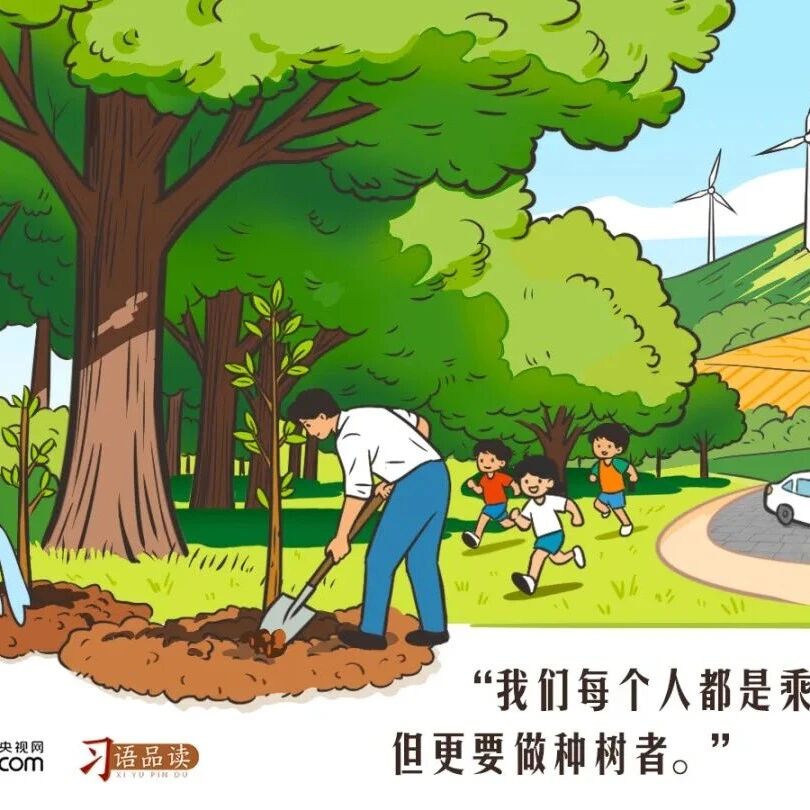天天学习|我们每个人都是乘凉者,但更要做种树者
