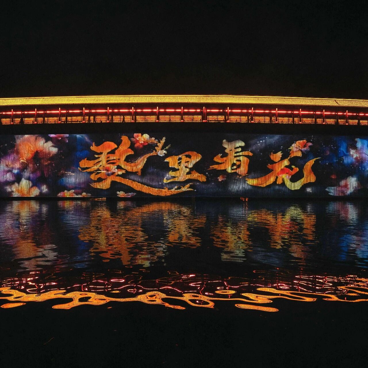 《婺里看花》星江河夜游丨赴一场光影盛筵,遇见极致浪漫