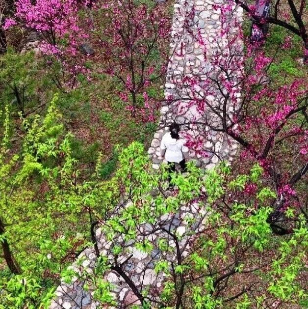 空山新雨后,寻梦桃花源——记泰山桃花峪