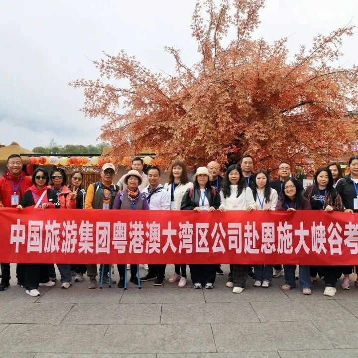 2026年中国旅游集团考察团深度踩线走进恩施大峡谷