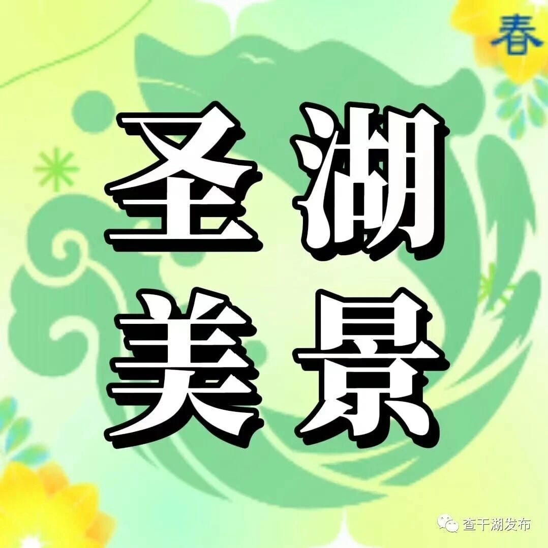 查干湖鸟类天堂