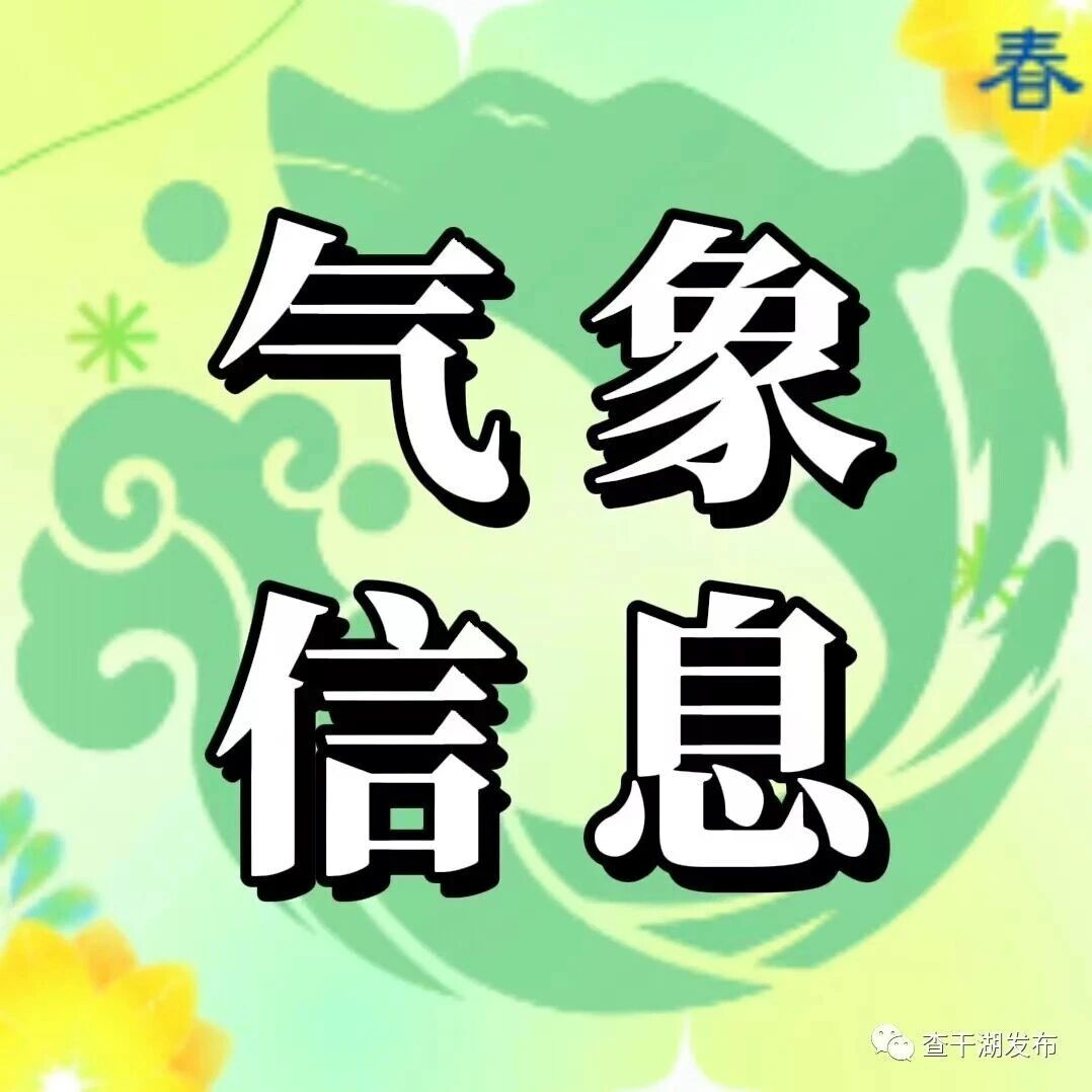 今日气温冲高 风力不减待花开