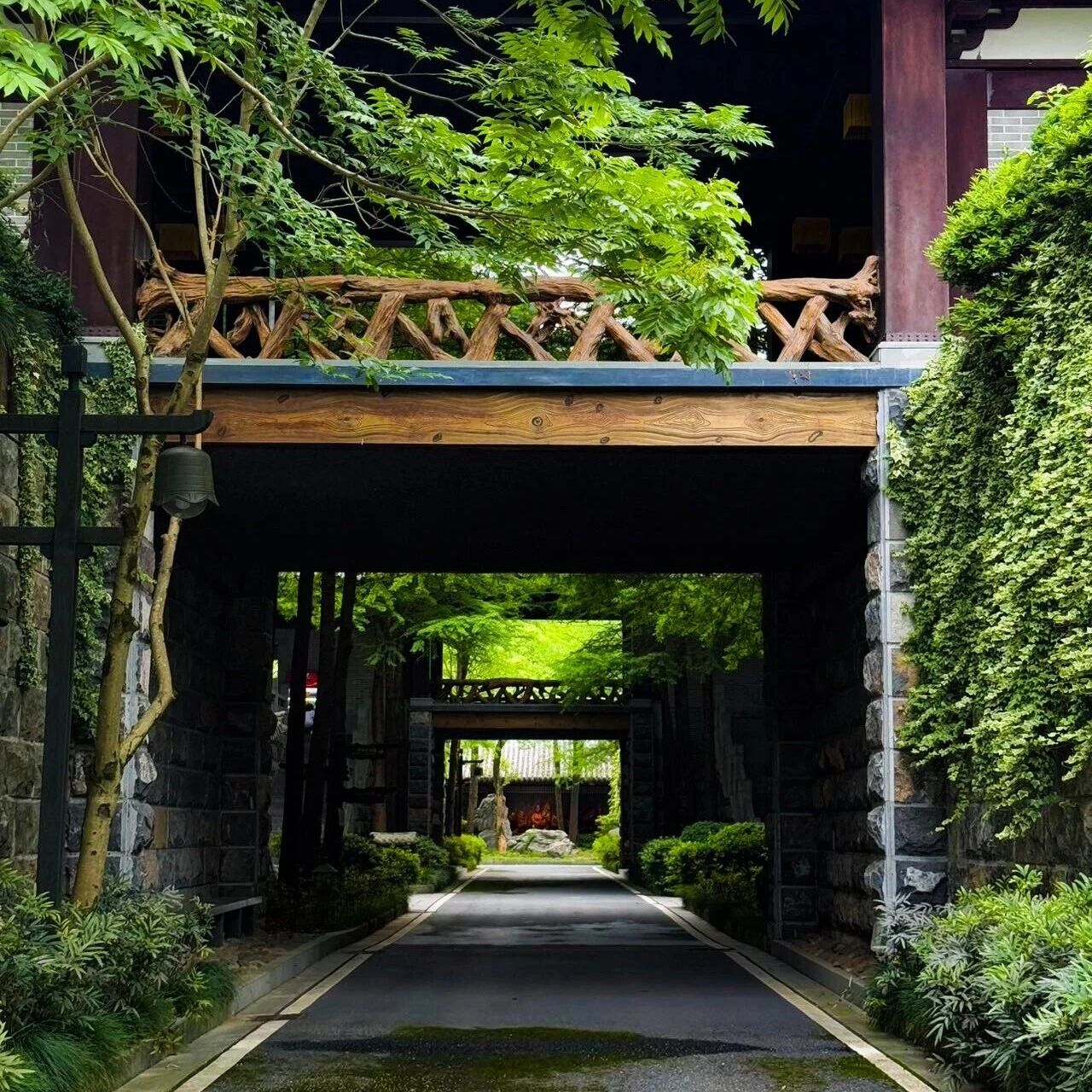 绿野仙踪|在根宫,被满屏的绿意治愈了🍃