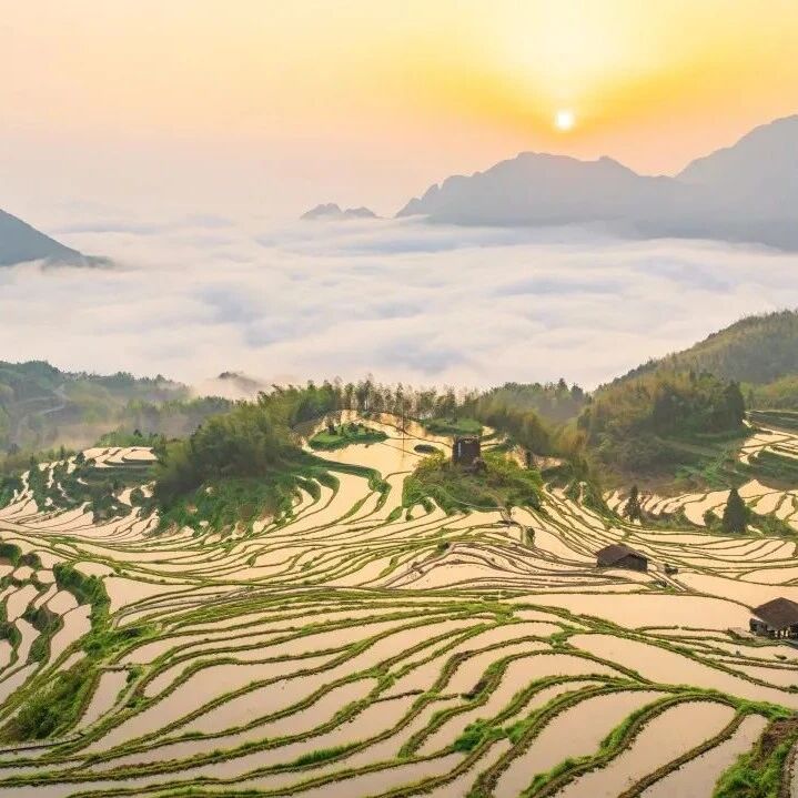 门票自带 “重游险”!这才是看云海的正确打开方式~