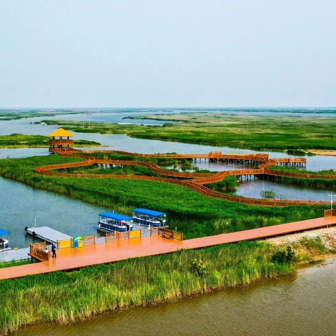 【黄河口生态旅游区】最美人间四月天 这里是“观鸟+赏景”的双重打卡胜地!
