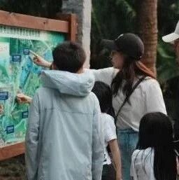 青秀山千年苏铁园:铁树开花,千载奇观正当时!