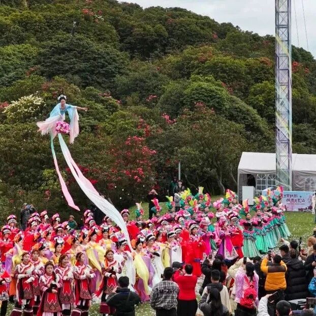 从“看客”到“玩家” 百里杜鹃“花样”迭代