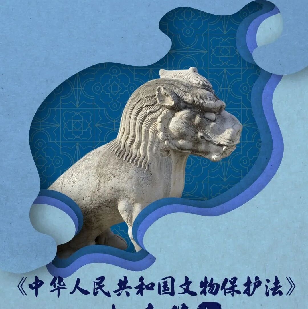 一图读懂《中华人民共和国文物保护法》权责篇