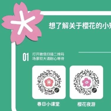 樱花谢了也能“云赏樱”?辰山植物园樱花AR上线啦!