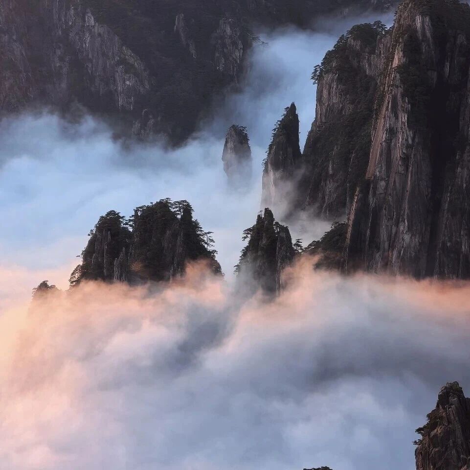 免票!不限次!安徽献血者凭“无偿献血荣誉证”畅游黄山及周边景区