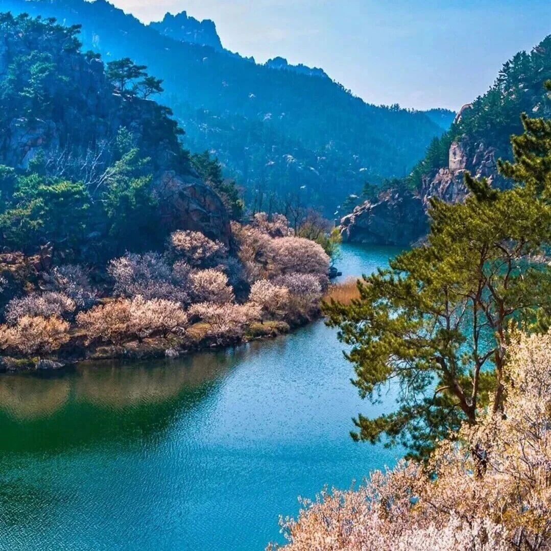 《青岛市旅游条例》全文公布