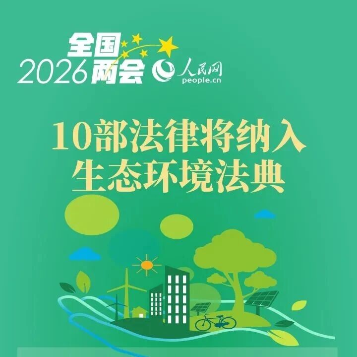 我国第二部法典啥内容?一起学习!
