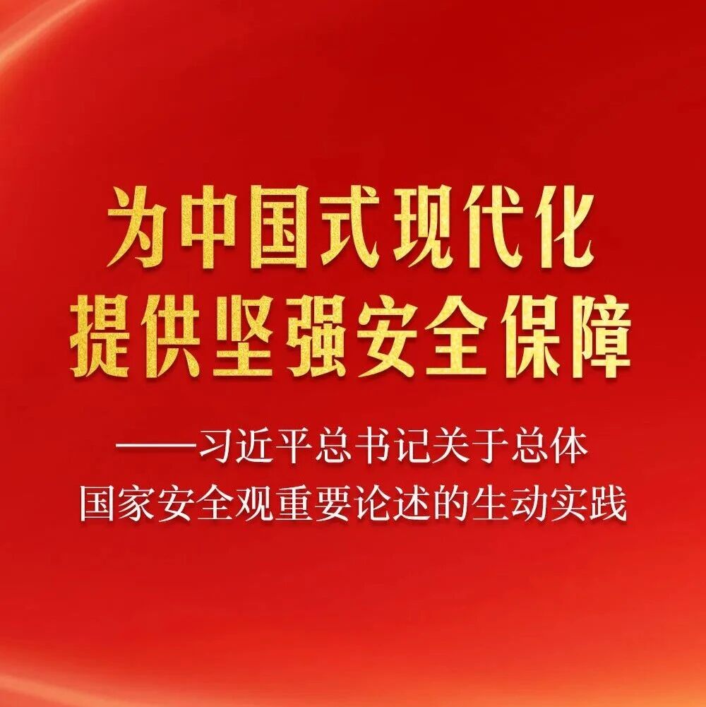 习近平总书记关于总体国家安全观重要论述的生动实践