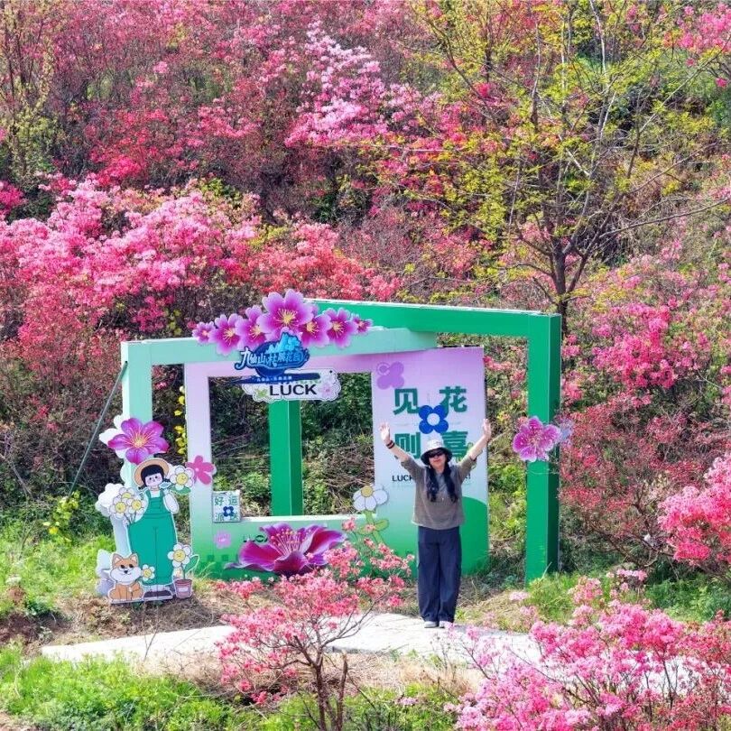 漫山杜鹃开!本周六,来九仙山吉祥花园邂逅春日浪漫