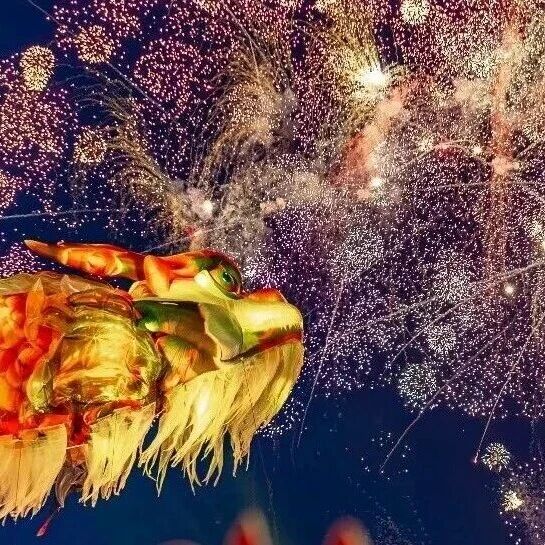 灯火阑珊处,车马已待君。鱼灯尽,归途始!唐模夜游返程专线开启